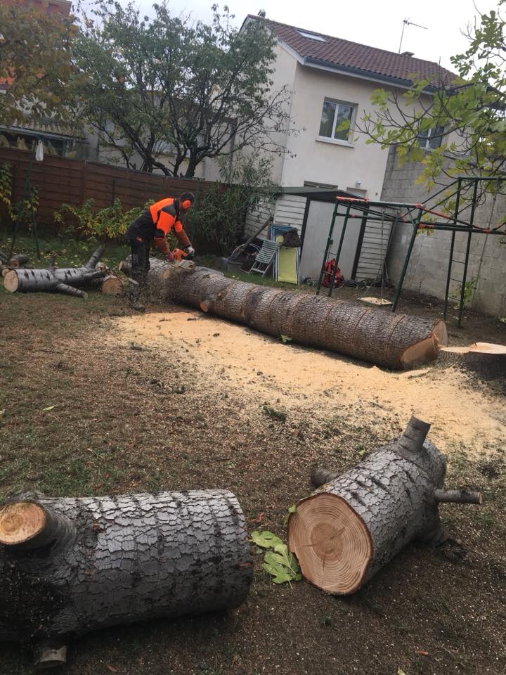 Travaux d’abattage Bourgoin