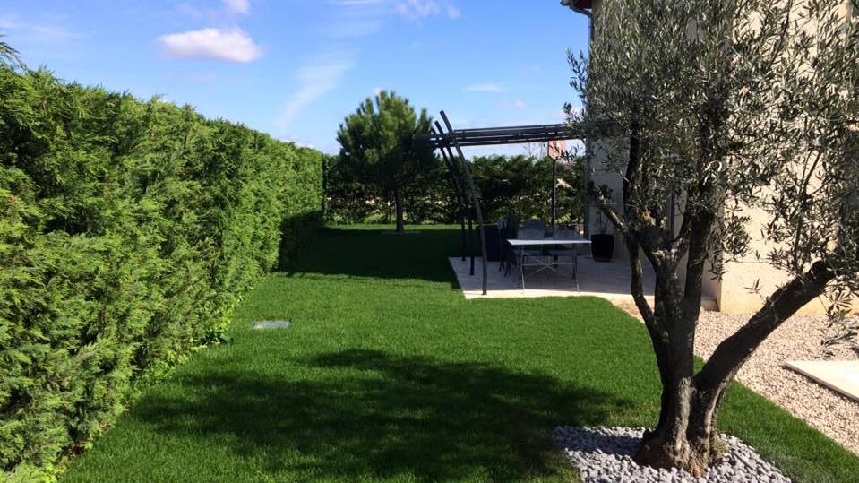 Entretien des arbres Bourgoin