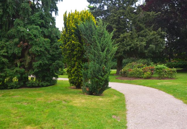 Jardinier paysagiste Lyon